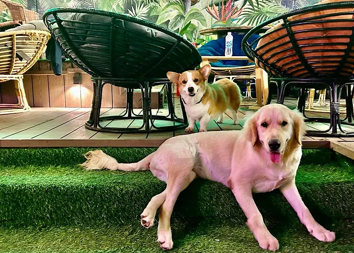Nhà nghỉ Rom Casa Đà Nẵng