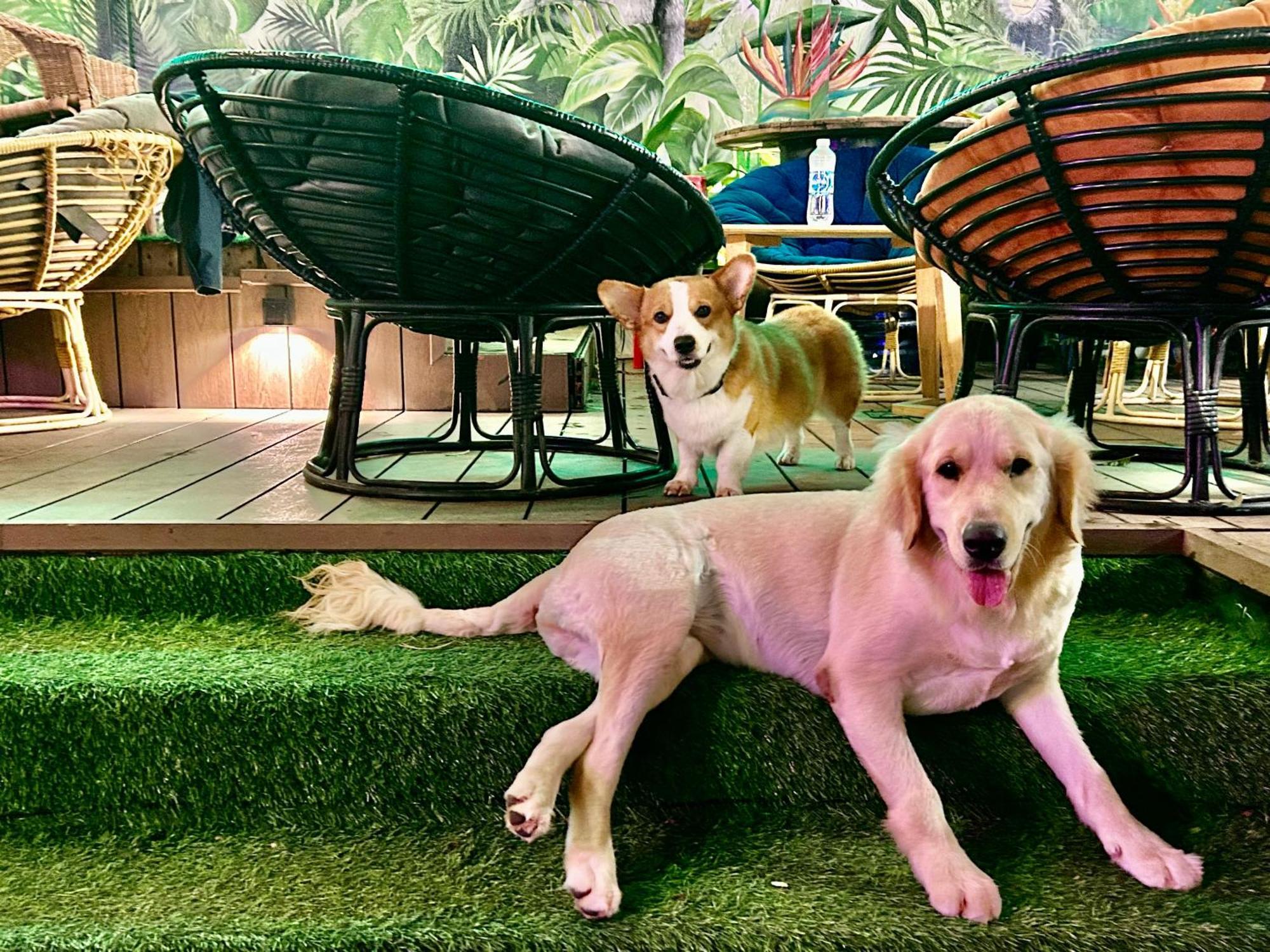Nhà trọ Rom Casa
